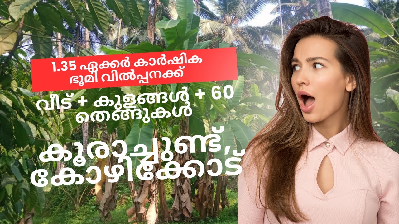 Agricultural Land Sale in Koorachundu | Farm Land For Sale in Kozhikode| Farm Land Sale| Call Owner