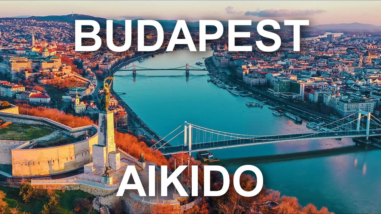 Aikido Budapest Zentai Mitama Tobukan dojo 2020.