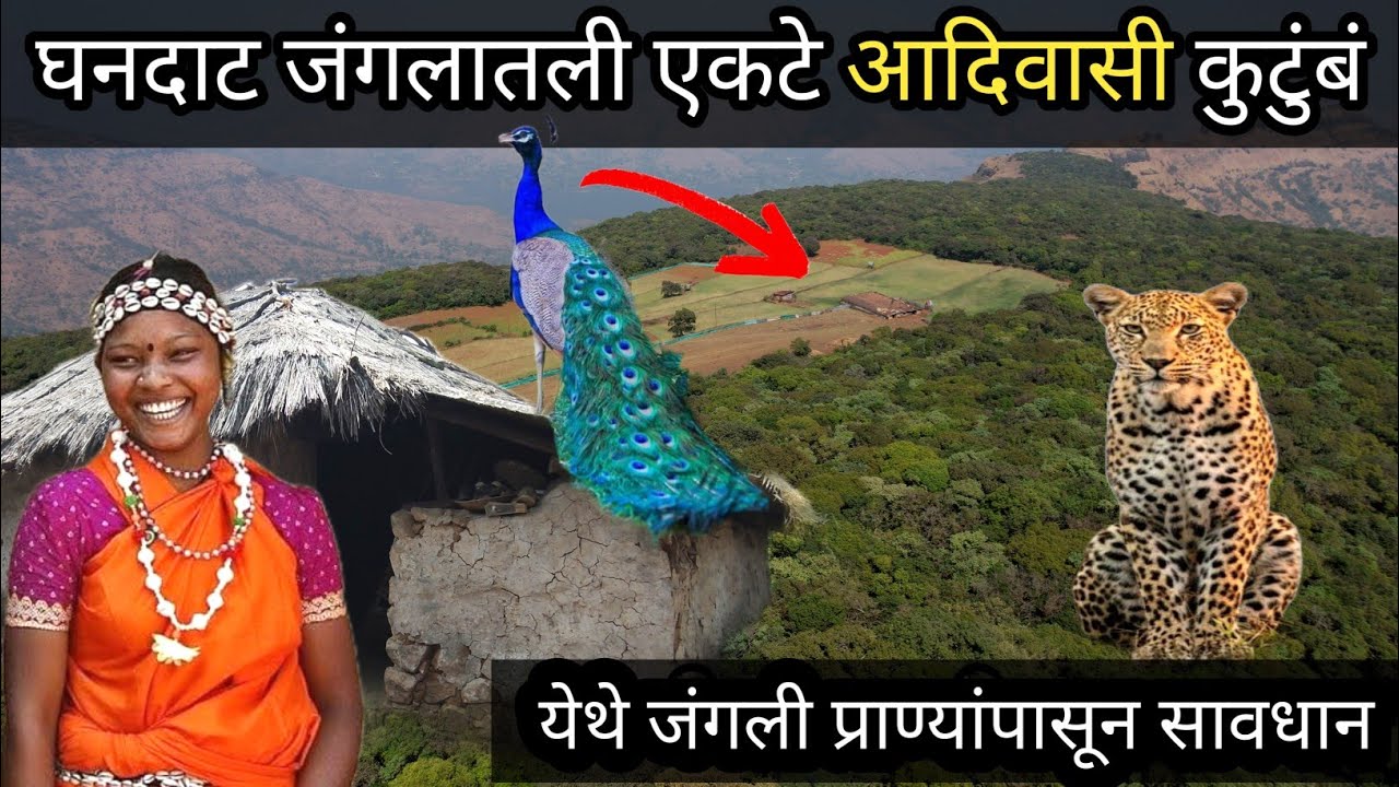 घनदाट जंगलात खडतर आयुष्य जगत राहणारे एकमेव घर🛖🌳सोबतीला वन्यप्राणी👫आदिवासी बांधव