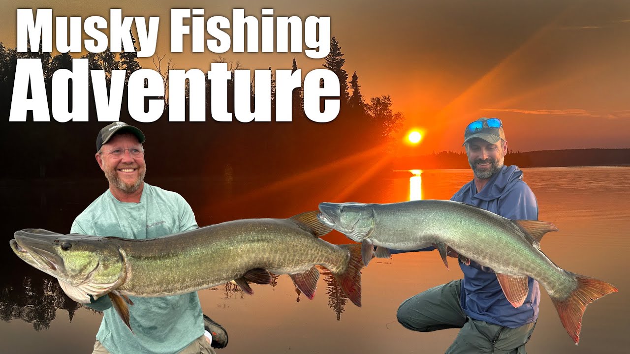 Monster Muskie Explodes on Topwater Lure at Lac Seul