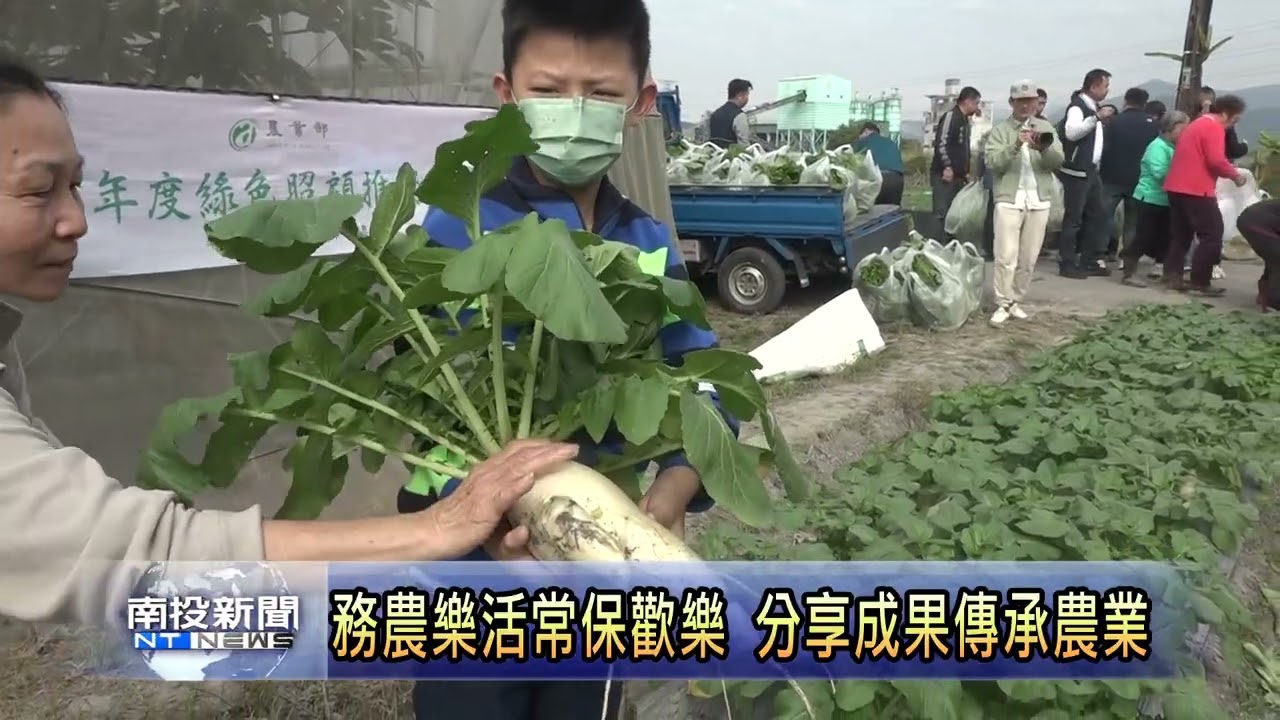 自己種菜自己採收 綠照站長輩樂開懷 南投新聞