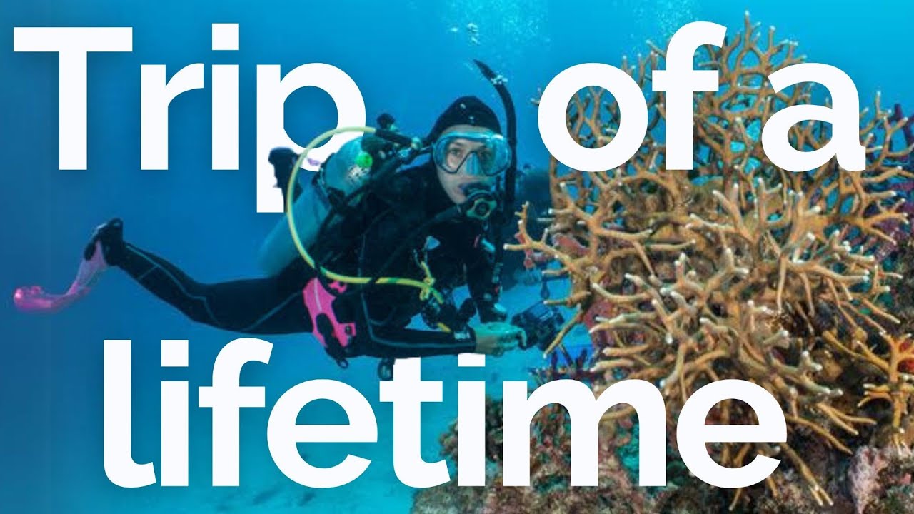 Volunteer onboard Australia's best Scuba Diving live aboard