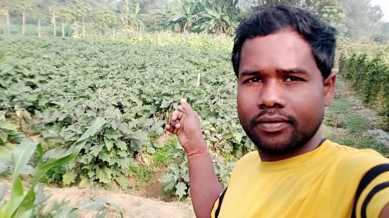 ମନଟୁ ଭାଇ ର ଗୋଡ଼ି ଯାଉଛି 