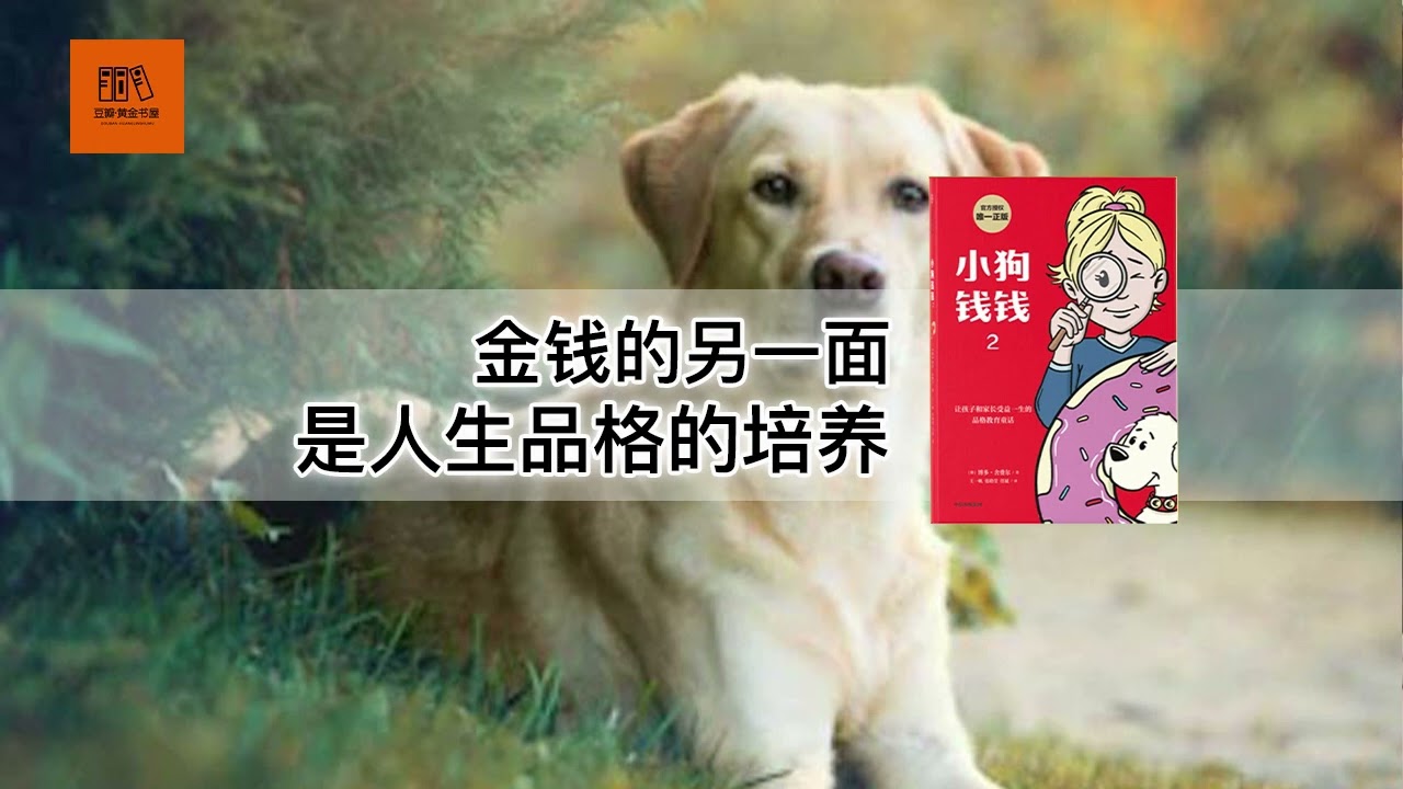 《小狗钱钱2》 金钱的另一面，是人生品格的培养【youtube字幕】| 好书精读推荐，见识决定格局，读书改变命运