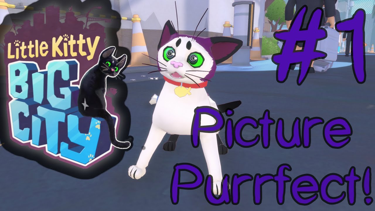 Little Kitty Big City Picture Purrfect ep 1