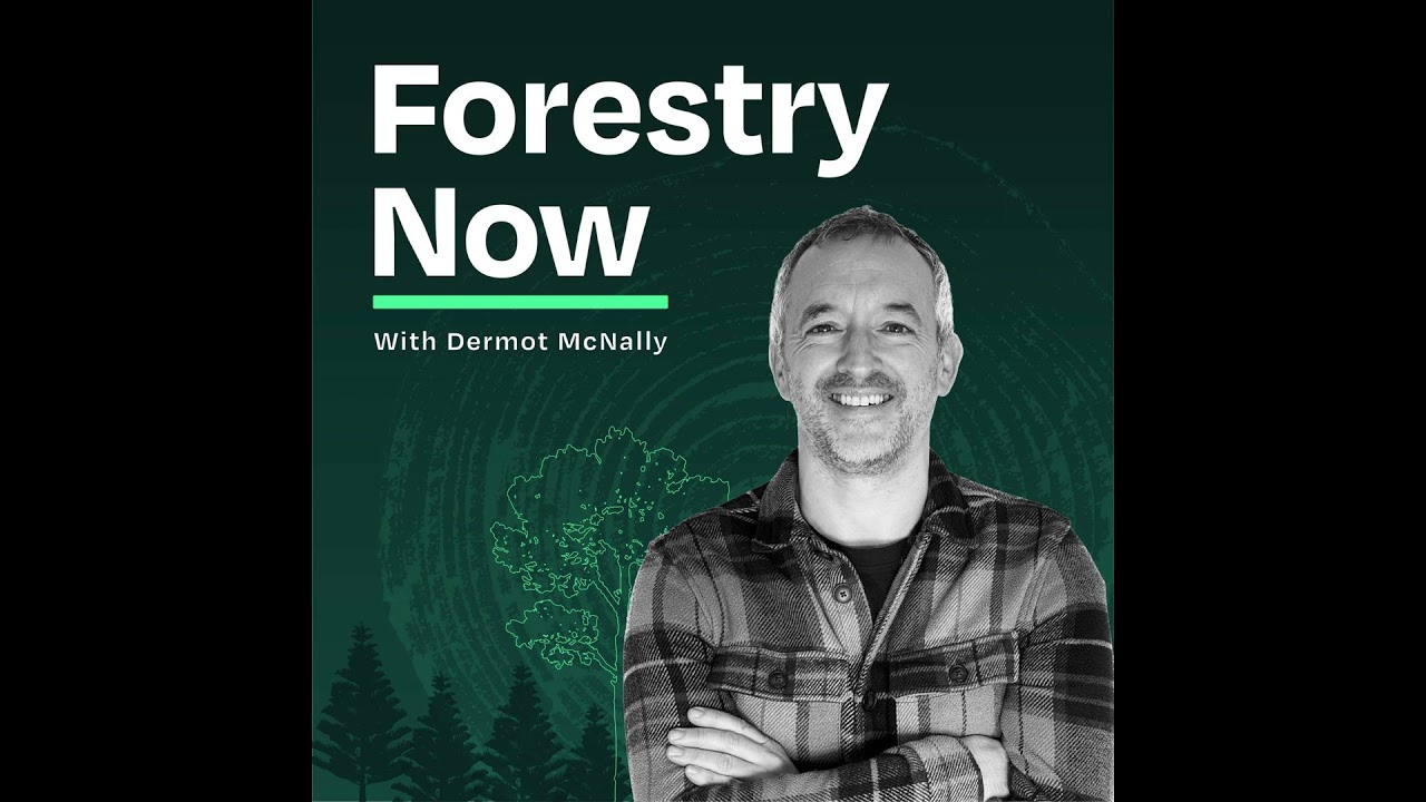 Resilient Family Forests - CCF in Westmeath with Olive Leavy