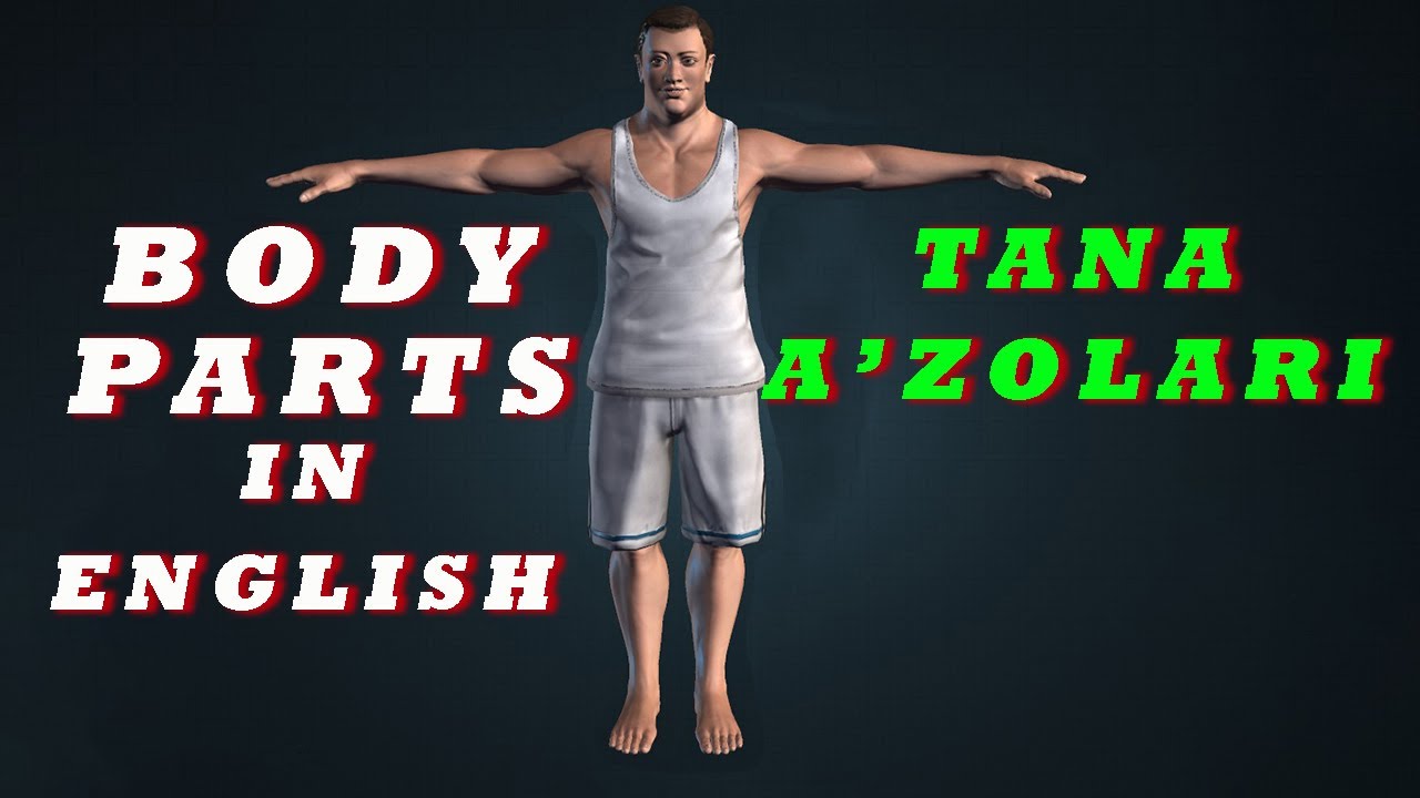 BODY PARTS | INGLIZ TILIDA TANA A'ZOLARI