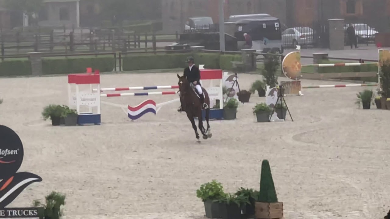 Mosito vh Hellehof CSI Valkenswaard 6yr 2018