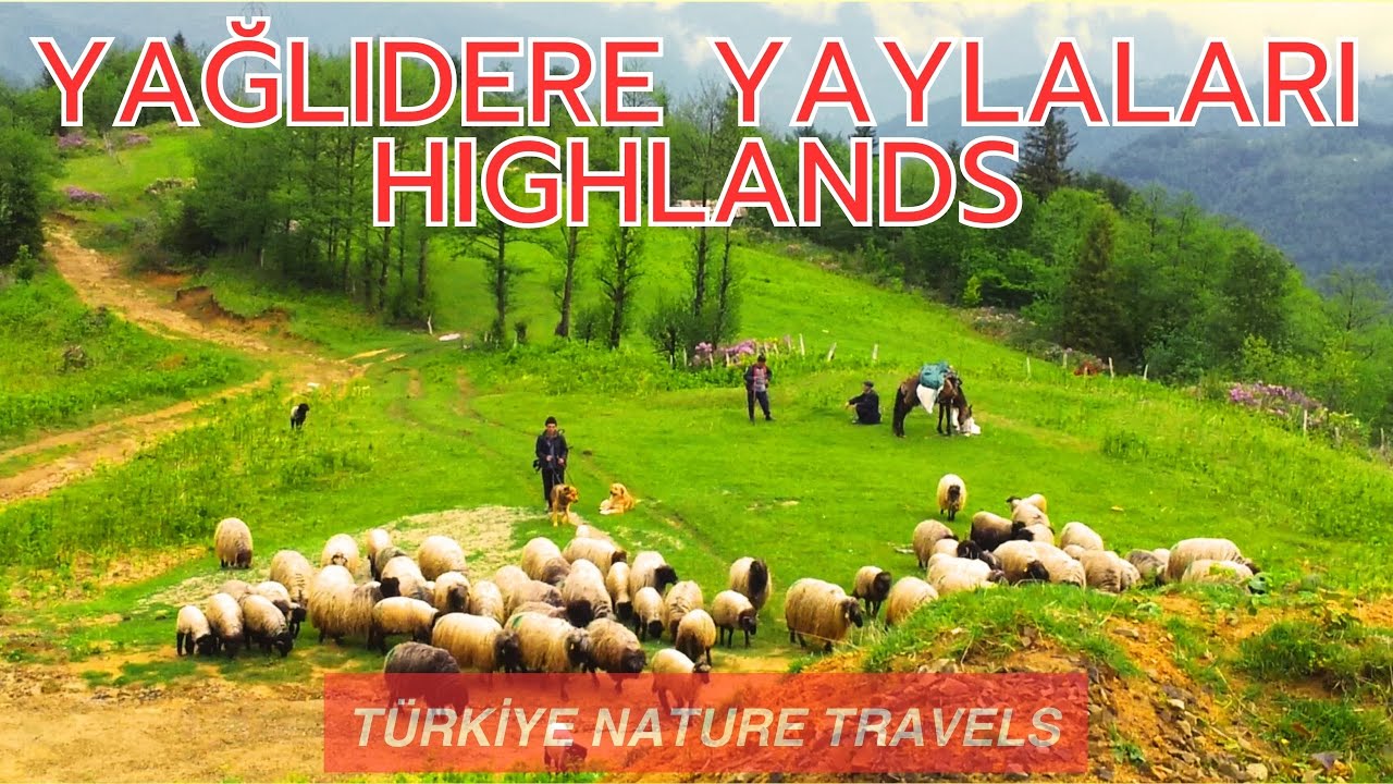 2010 Yılı Giresun-Yağlıdere Günlük/Sırataş/Karadoğa/Geyikçi Yaylaları🌲Yıl 2010. Highlands🌲. 4K. HDR