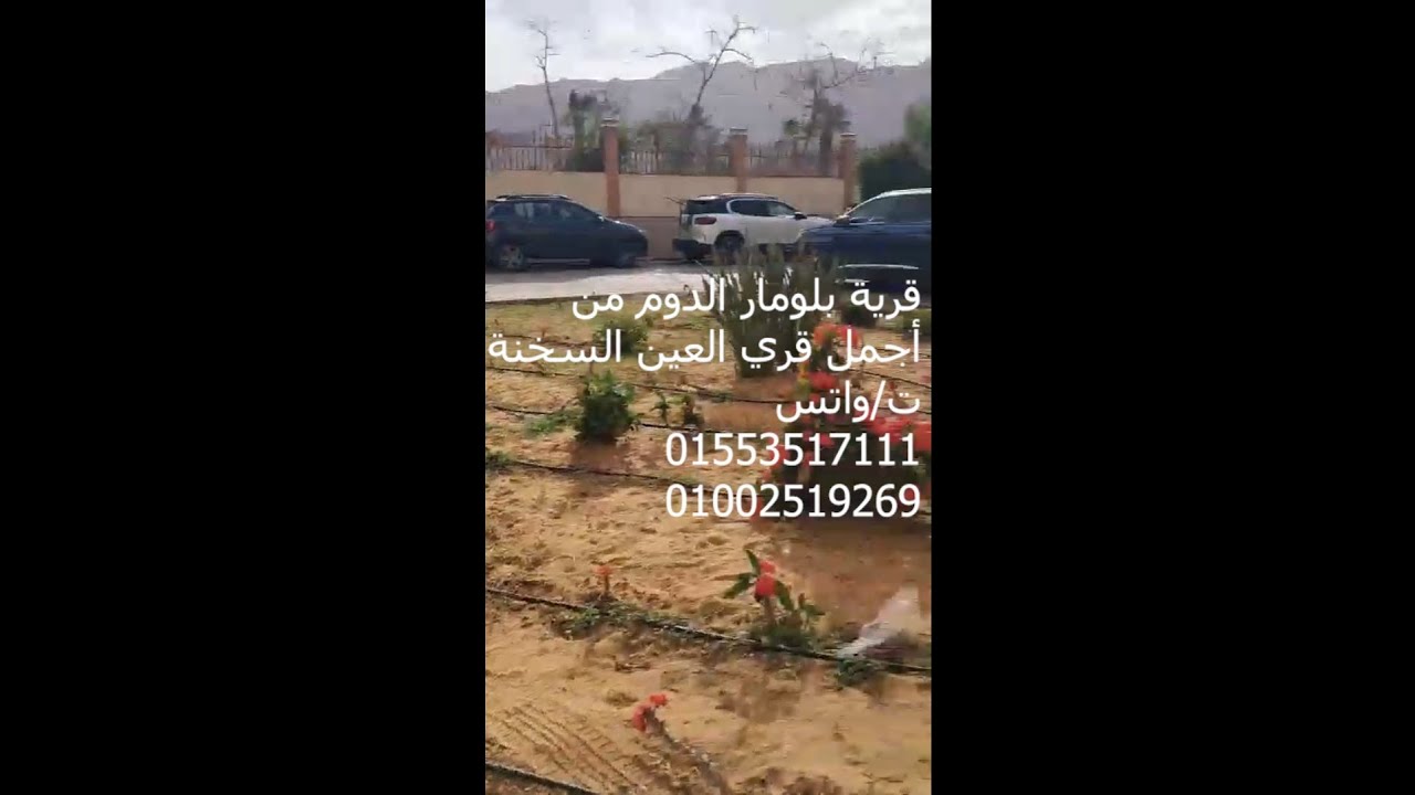 العين السخنة  - شاليه للايجار
