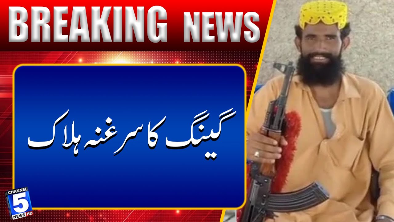 Punjab Police Achieves Major Success Against Kacha Dacoits, Gang Leader Kil-led | Channel5NewsHD