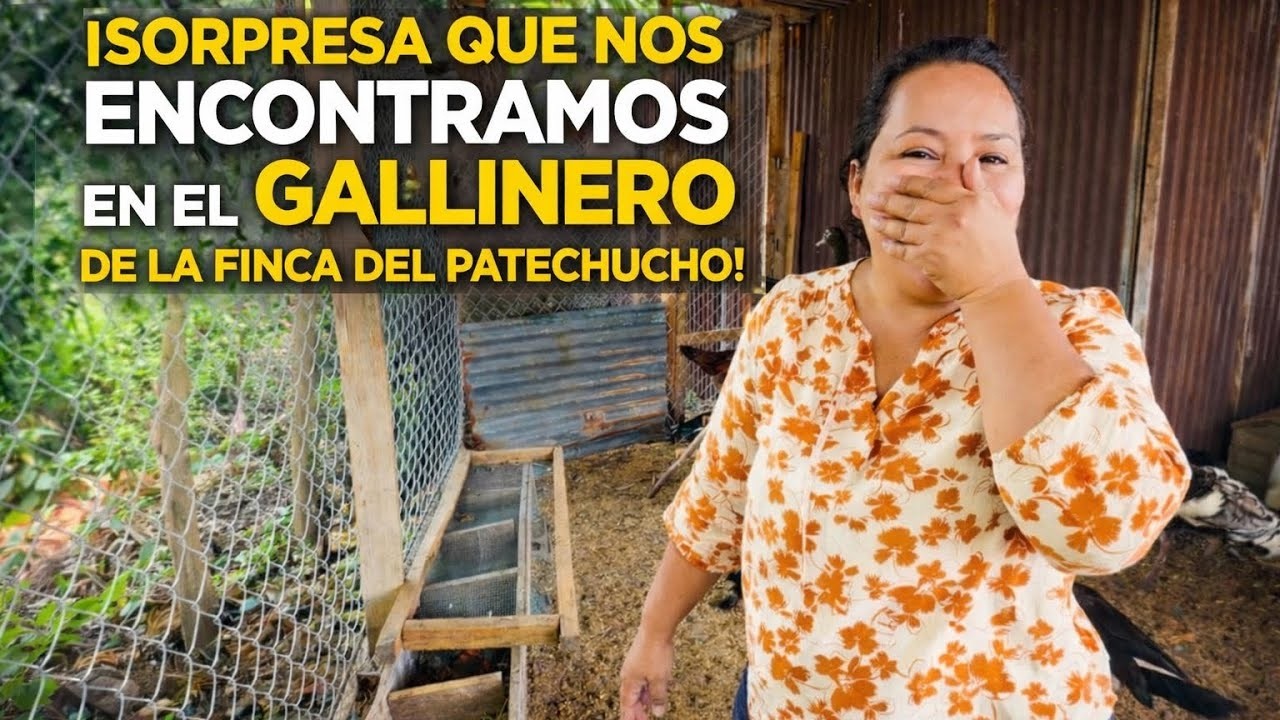 No creeras LA GRAN SORPRESA que nos encontramos al llegar a la Finca del Patechucho 😱