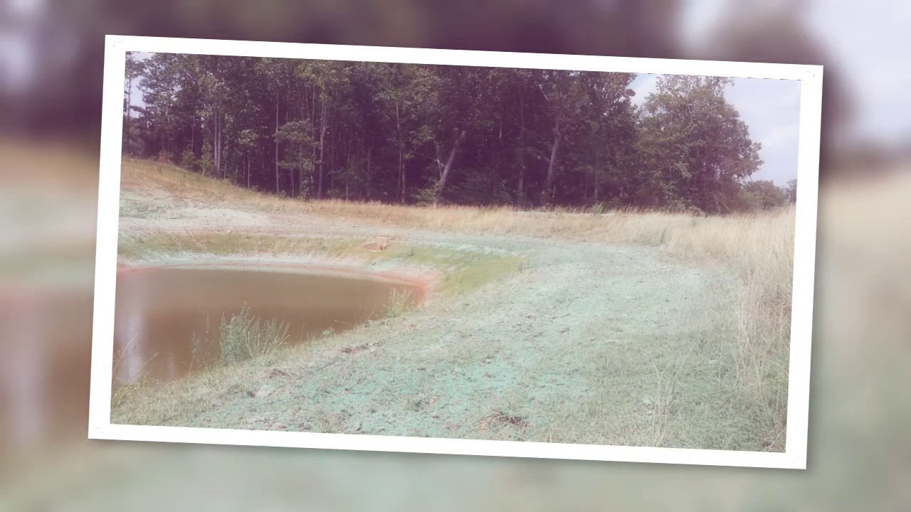 Erosion Defence Hydroseeding