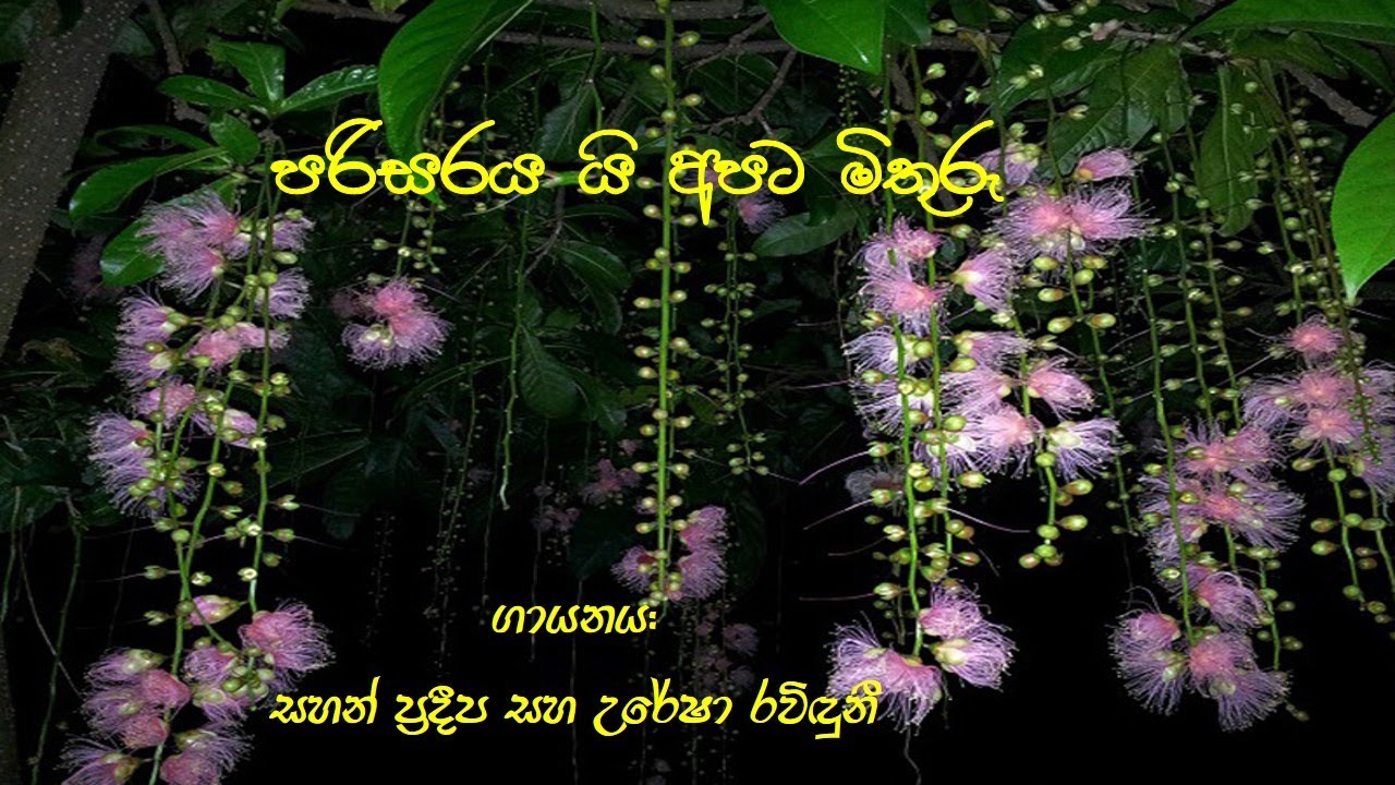 parisarayai apata mithuru, පරිසරය යි අපට මිතුරු