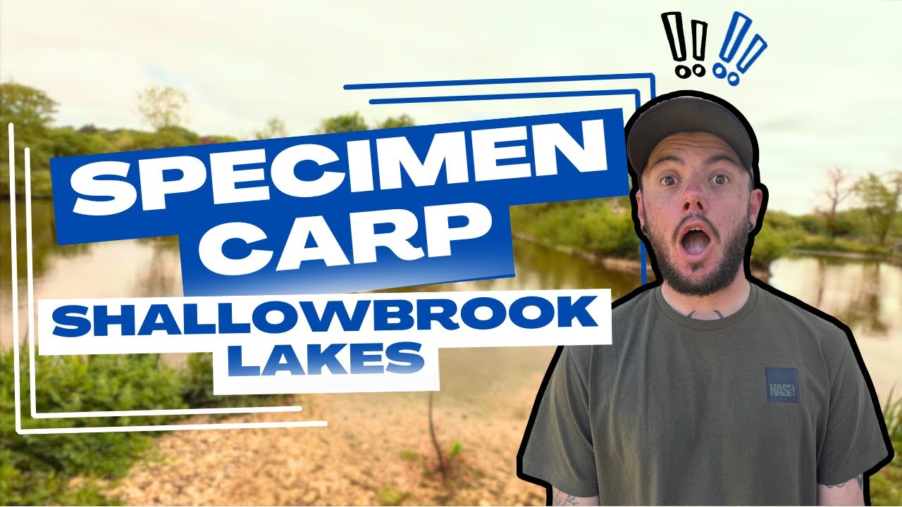 Fishing For STUNNING Specimen Carp! | Shallowbrook Lakes
