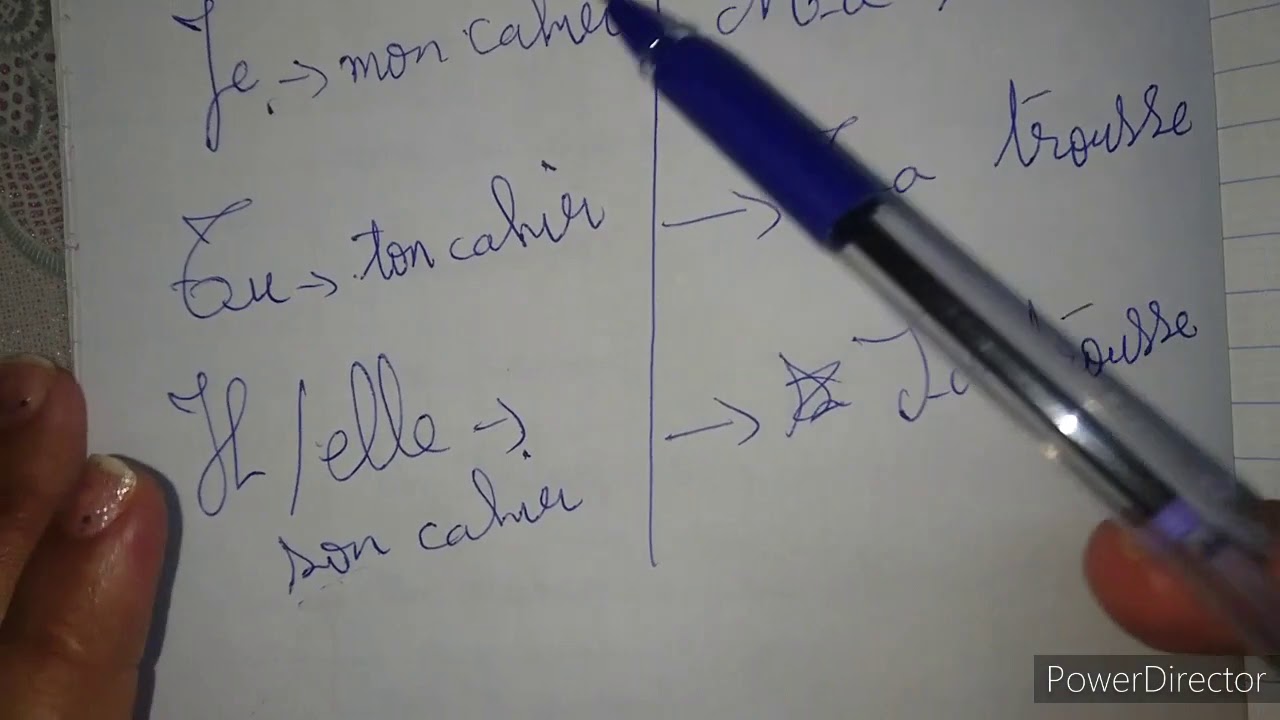 projet 1 séquence 2 (4AP) les adjectifs possessifs ➕ des exercices c'est important ♥