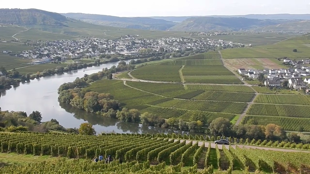 🤗🤗🤗 Die Mosel bei Trittenhein Deutschland 🤗🤗🤗  Die Mosel bei Trittenheim Germany 🤗🤗🤗