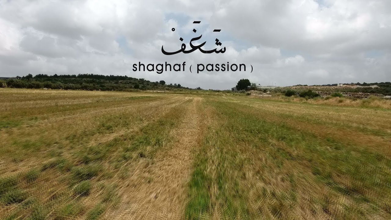 موسيقى حسام حايك - شغف - shaghaf (passion) - music by Hosam Hayek