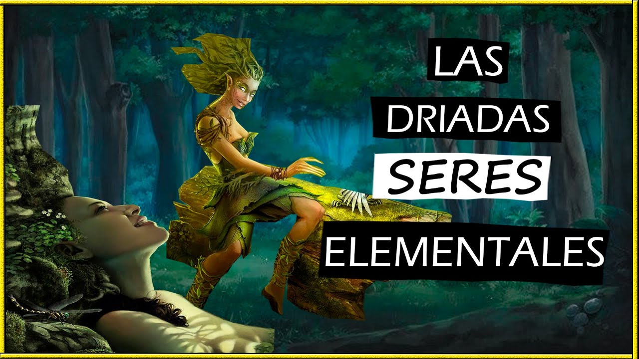 🧚‍♀️🌲QUE SON LAS DRÍADAS | NINFAS DEL BOSQUE | SERES ELEMENTALES DE LA NATURALEZA 🧝‍♀️