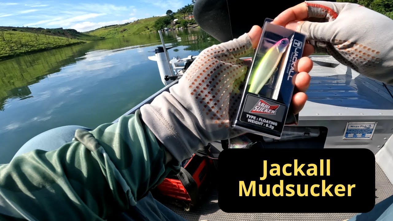 Review = Isca Jackall Mud Sucker 90