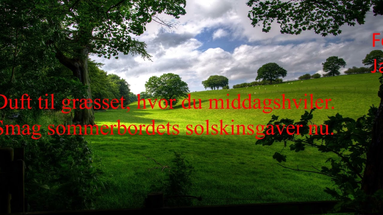 Fire årstider fem sanser
