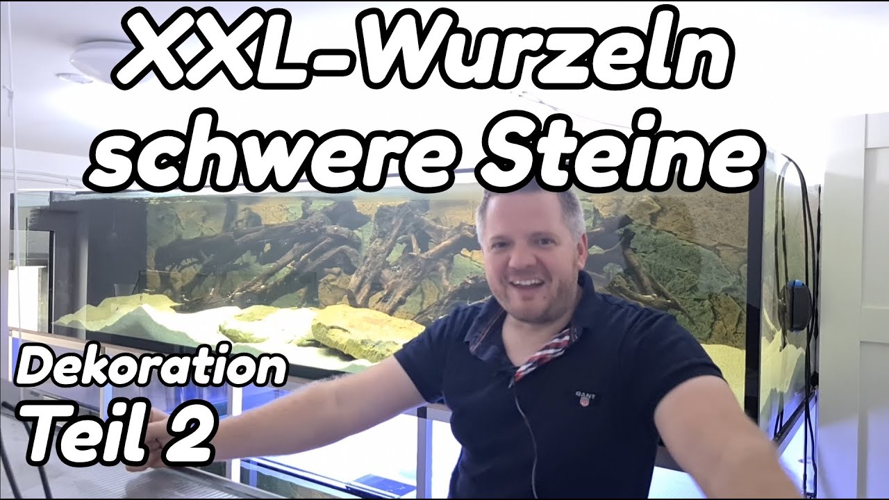 3900l-Zuchtblock - Dekorieren Teil 2 | XXL Wurzeln, schwere Steine😅