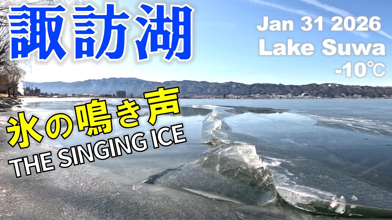諏訪湖に御神渡りを見に行ったら氷の鳴き声が聞こえてきた！