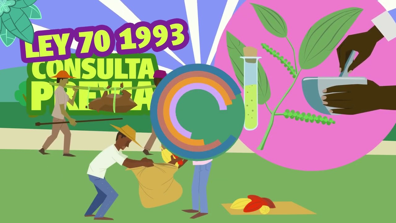 Conozca la Ley 70/1993 para defender los derechos de las comunidades negras