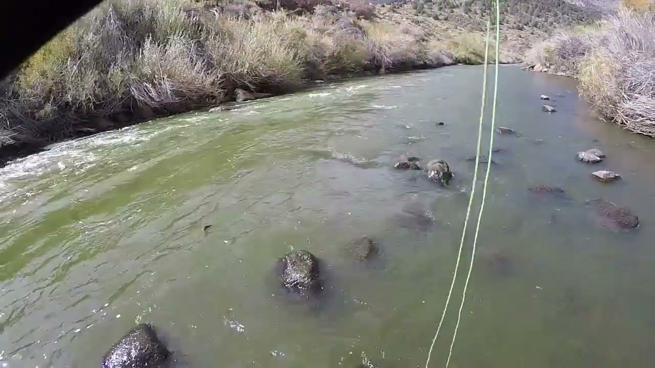Trying Out the Fishing on the East Walker River (Bridgeport, CA)
