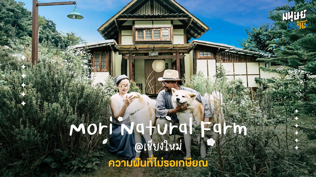 โมริ เนเชอรัลฟาร์ม (Mori Natural Farm) ฟาร์มสเตย์เรียวกังกลางป่า จังหวัดเชียงใหม่