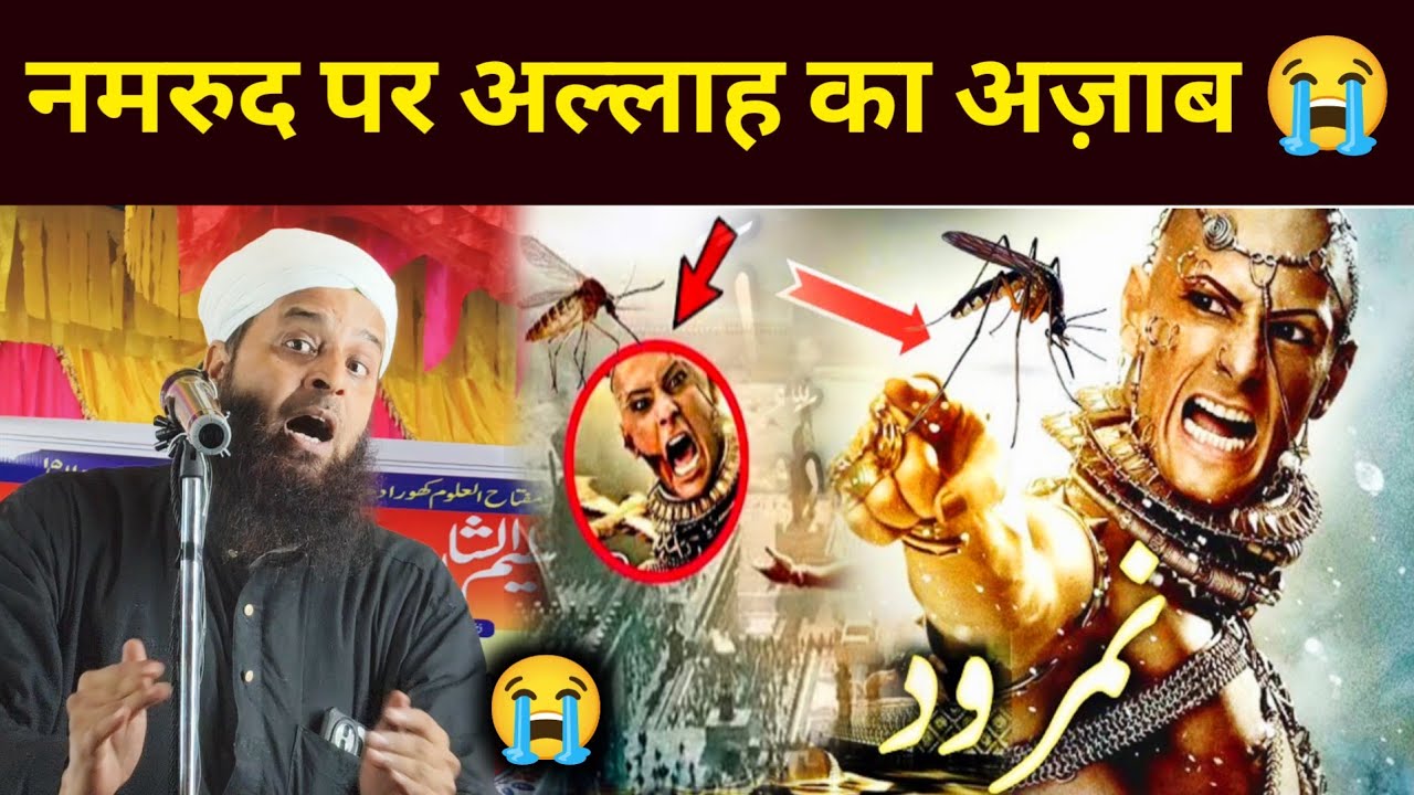 Namrud Ka Waqia Maulana Sohrab Chapdani Kalkattavi | मच्छर और नमरुद