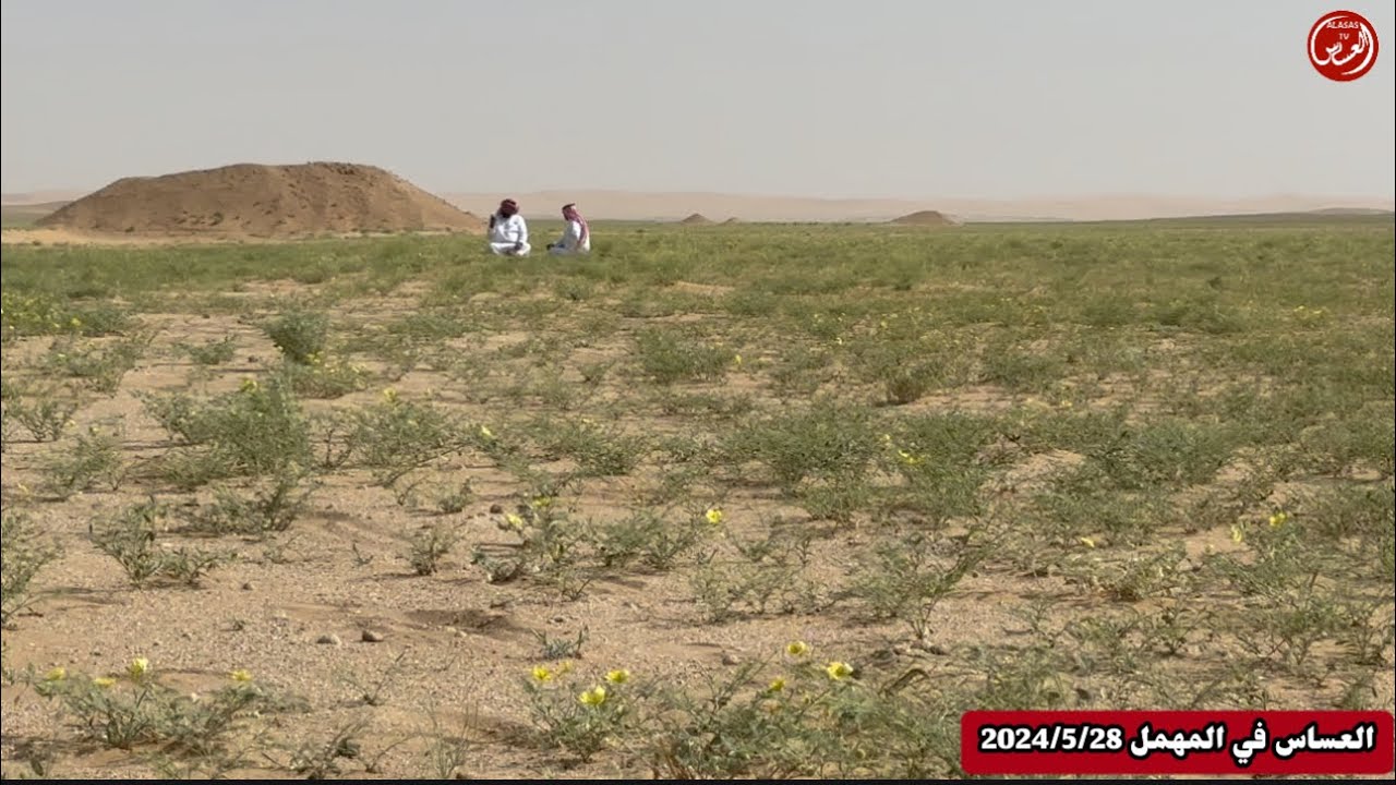 العساس في المهمل عيد بن سرحان وعايض عبيدان وسياف ذعار الرجباني