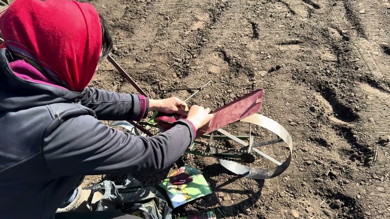 Сій моркву в грязь, будеш як князь. 