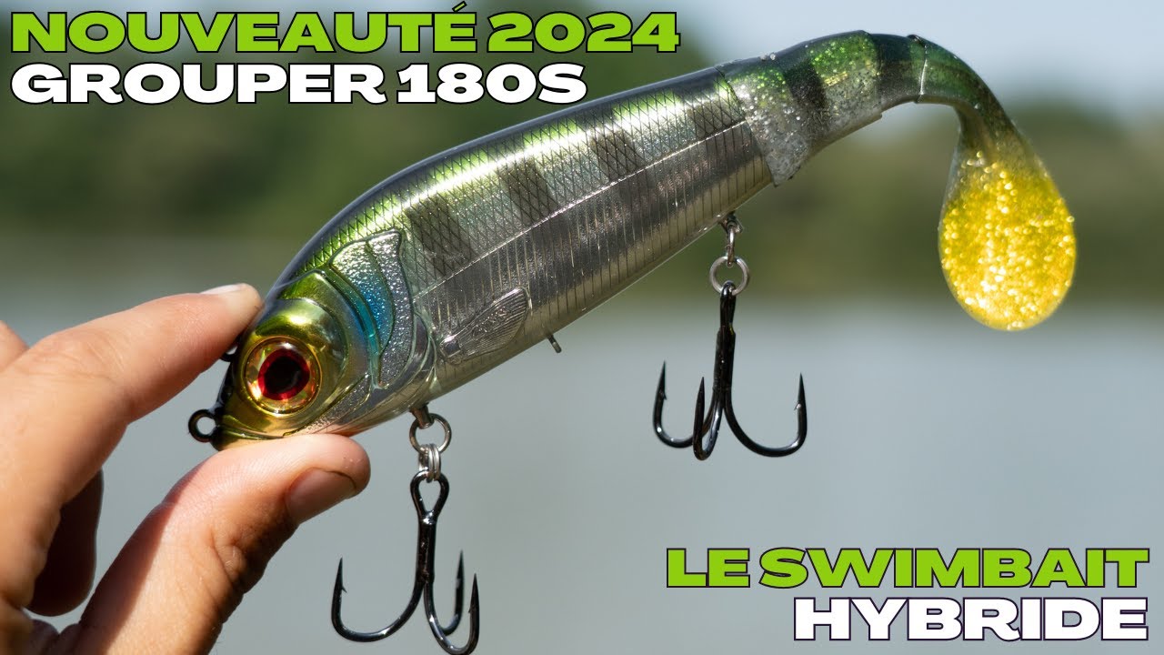 Nouveau LEURRE HYBRIDE: Le TOP pour le BROCHET