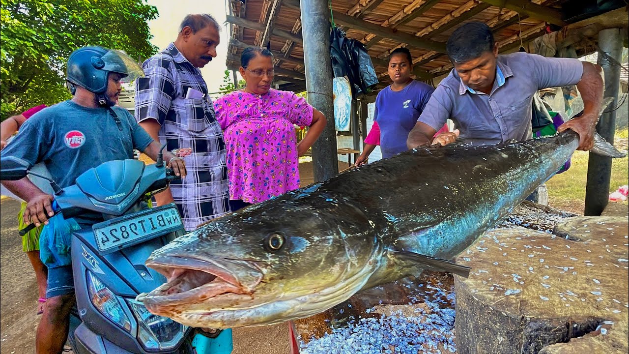 Incredible! Coastal Fish Market Magic: Villagers' Incredible Cutting Skills