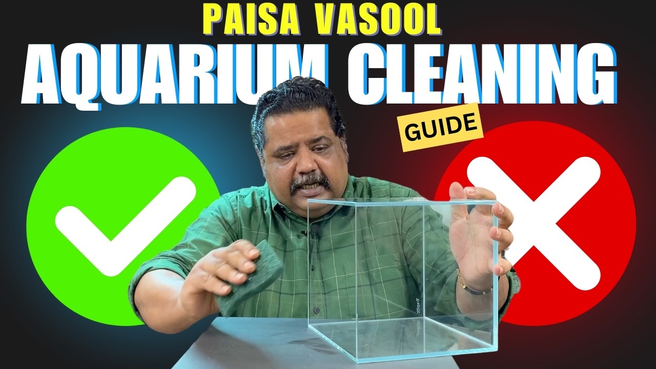 The Easiest Way to Clean Your Fish Tank | Step-by-Step Guide!