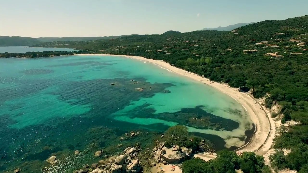Porto vecchio corse nature dauphin