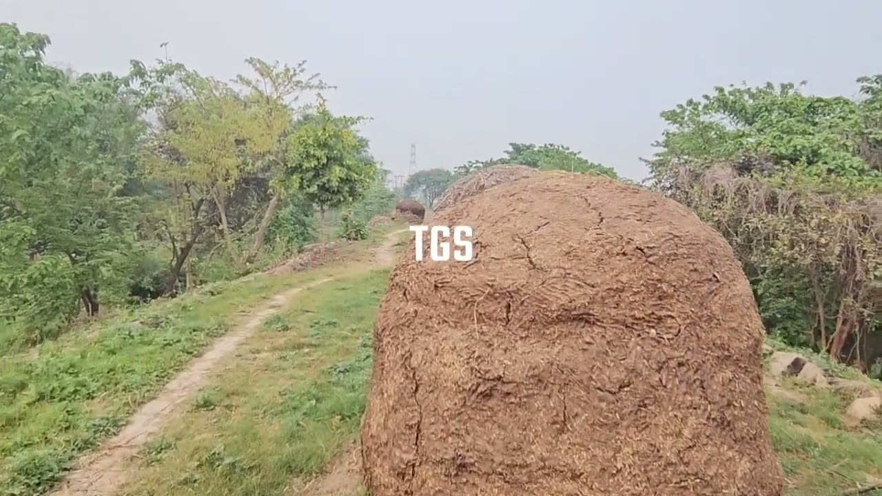 गैस के लिए लाइन में लगे लोग, मंहगे हुए सिलेंडर, दो हफ्ते युद्ध चला तो लकड़ी कंडा पर बनेगा खाना
