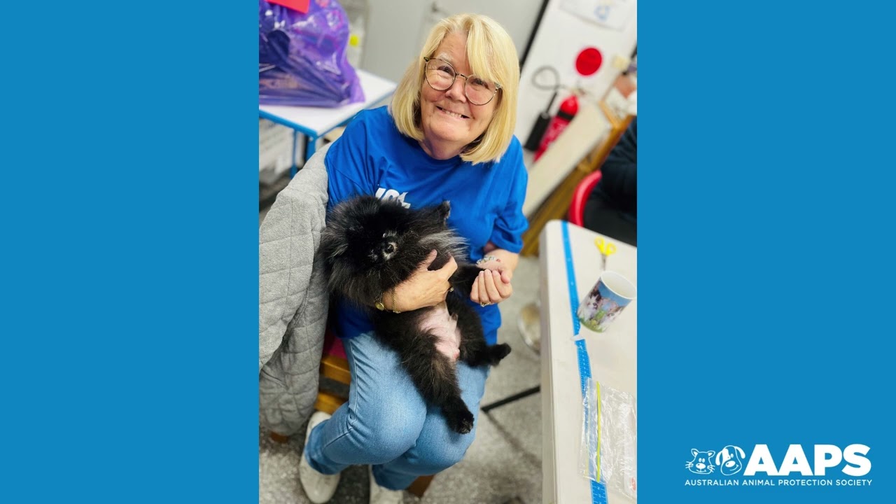 AAPS Animal Shelter - Volunteers