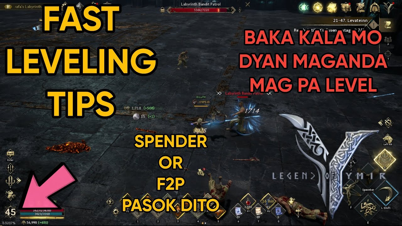 Legend of YMIR: Fast LEVELING SPOT Guide!
