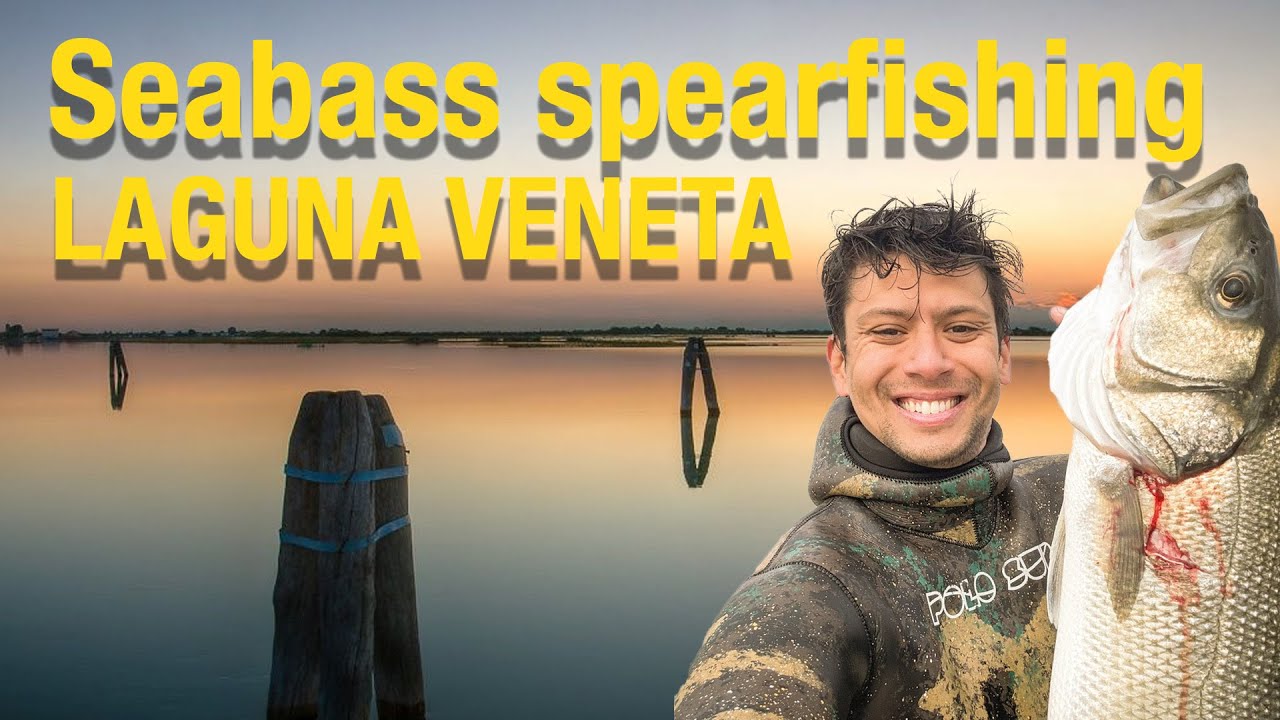 On the Hunt for Seabass | Spearfishing from a RIB in Venice Lagoon