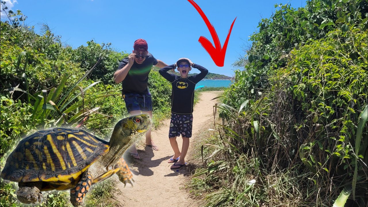 ACHAMOS UMA PRAIA MISTERIOSA com UMA TARTARUGA GIGANTE