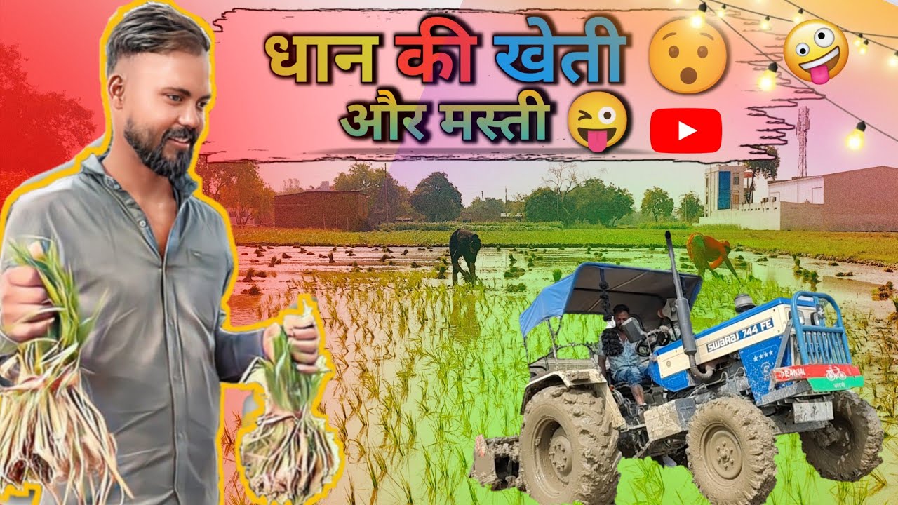 धान की खेती 😜 मस्ती के साथ || Desi Comedy 😂 || RY Vlogs