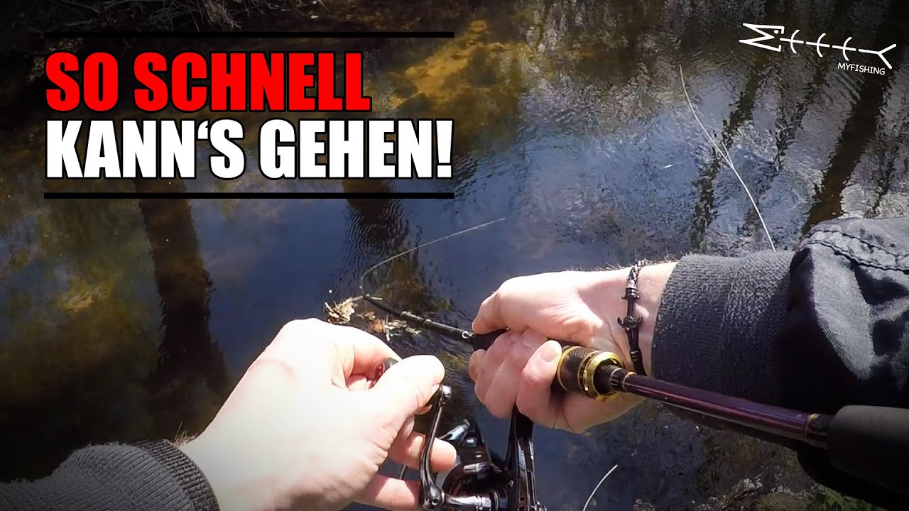 In KÜRZESTER Zeit zum Erfolg! Angeln auf BACHFORELLEN im Frühling