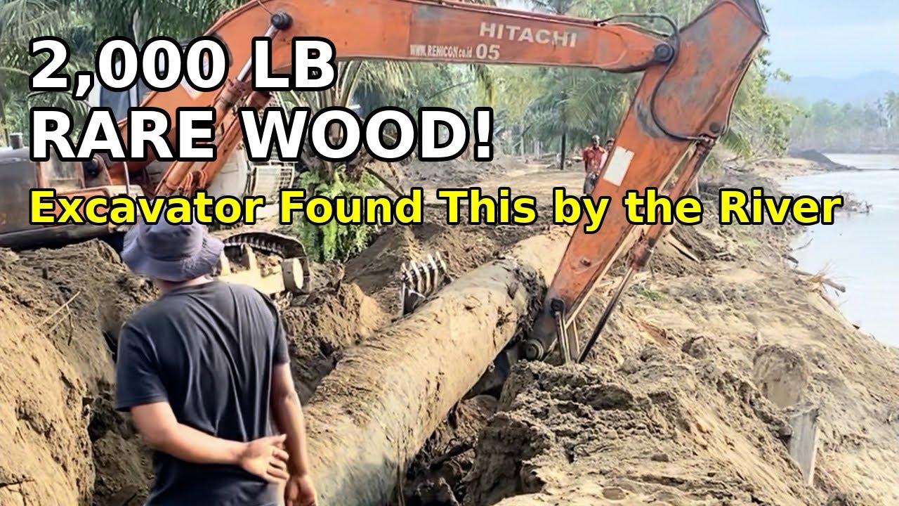 Massive 2,000-Pound Rare Wood Found Buried on a Riverbank!