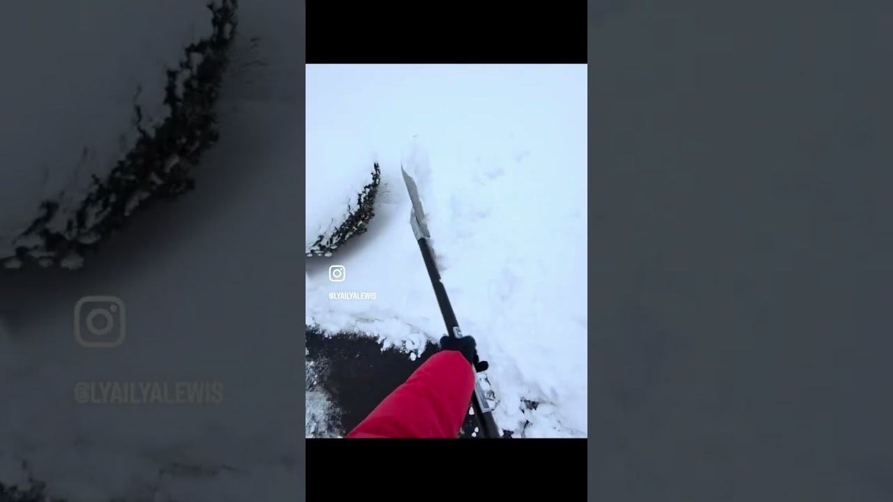 Опять Снег на радость мне! 