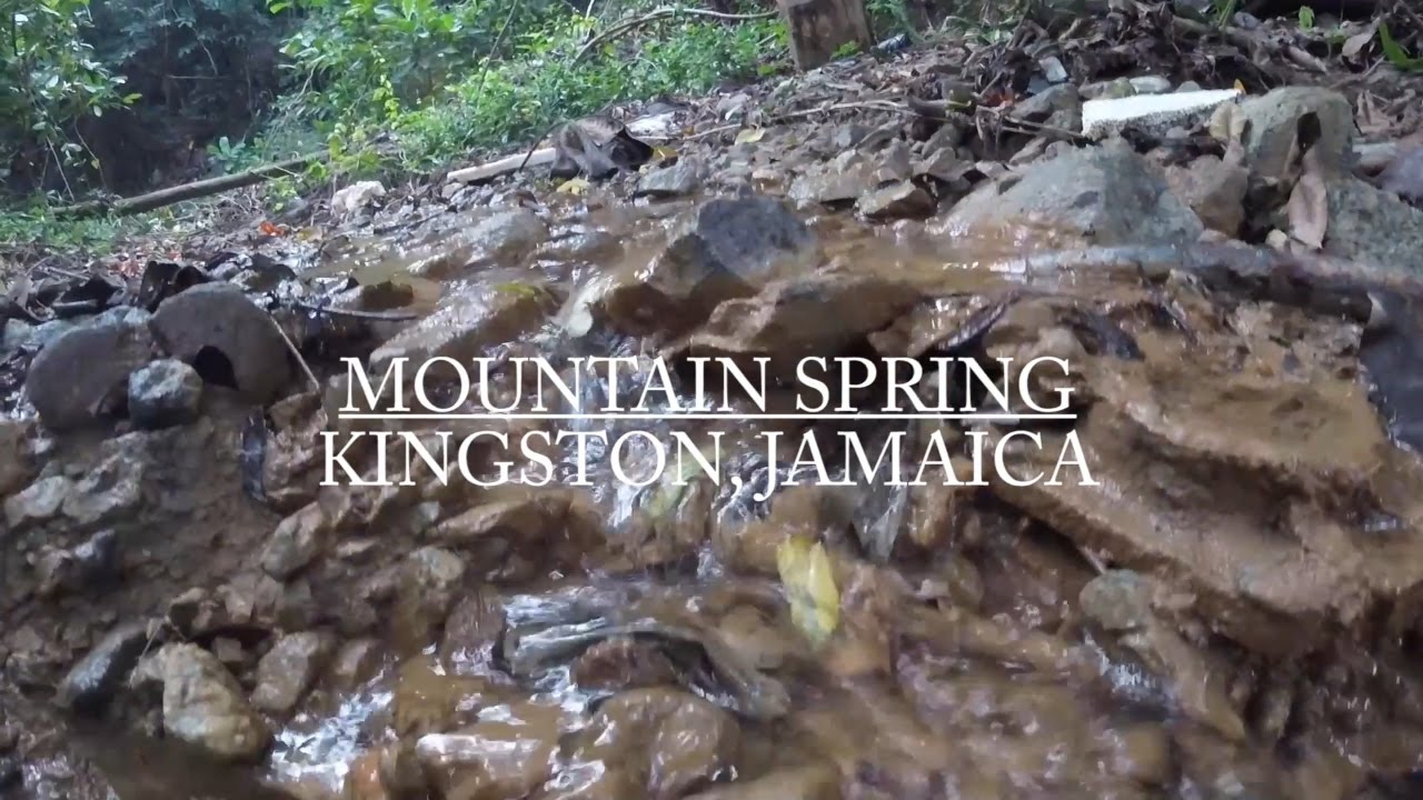 Mountain Spring hike | Jamaica VLOG #2