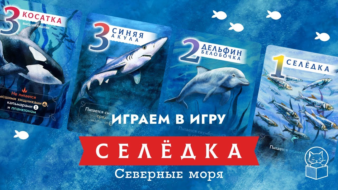 Селёдка: Северные моря — Играем в новую настольную игру