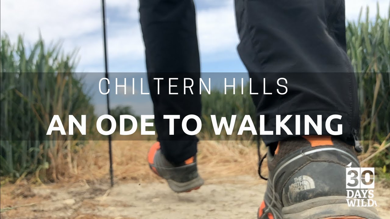Chiltern Hills | An Ode To Walking