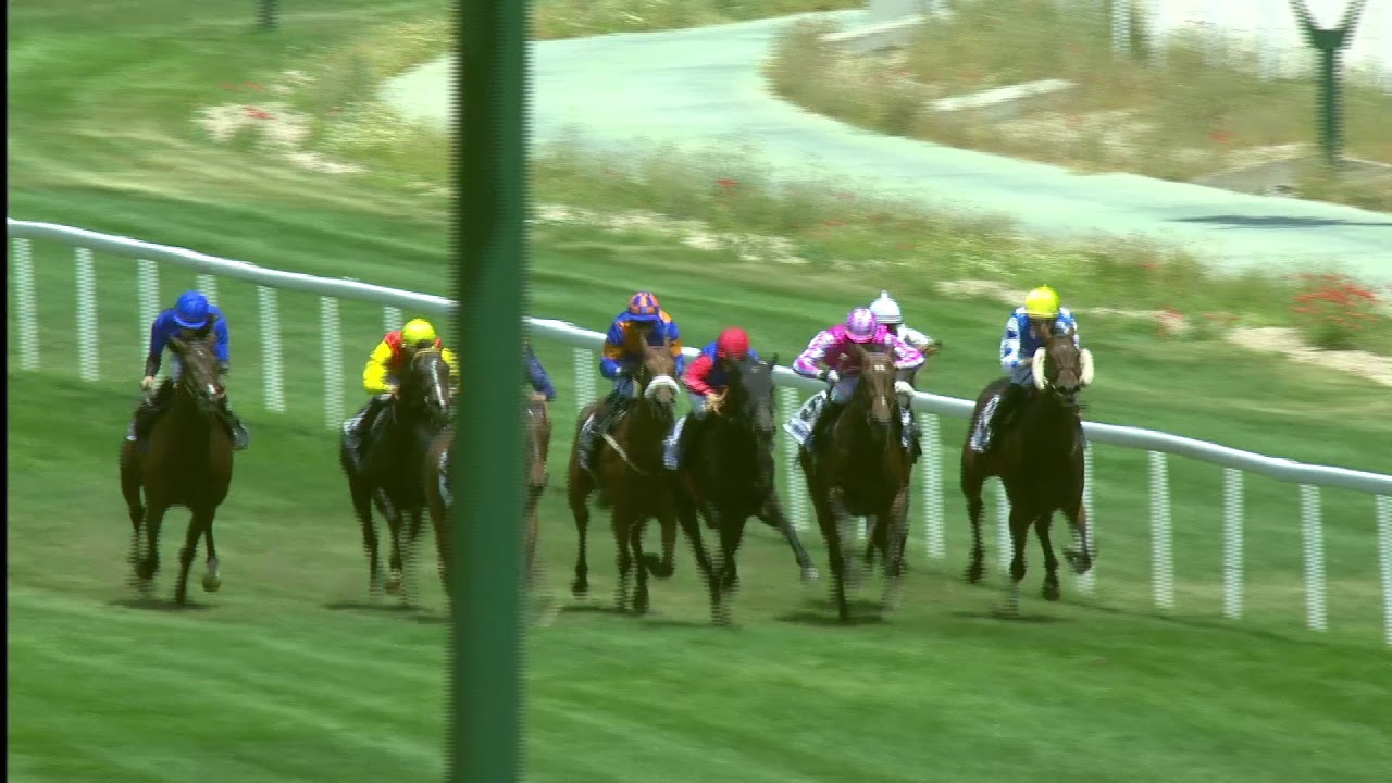 5ª Carrera del 2 de Junio en el Hipódromo de la Zarzuela